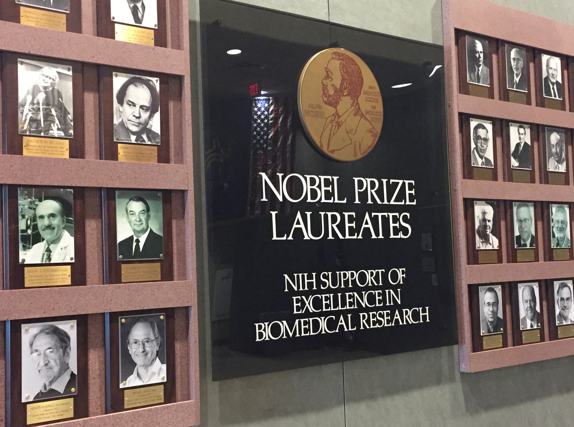 nobel laureate wall nih - David B Ou Ignario Ay Martin Karpace Re Nobel Rocco Nobel Prize Laureates Nih Support Of Excellence In Biomedical Research Que